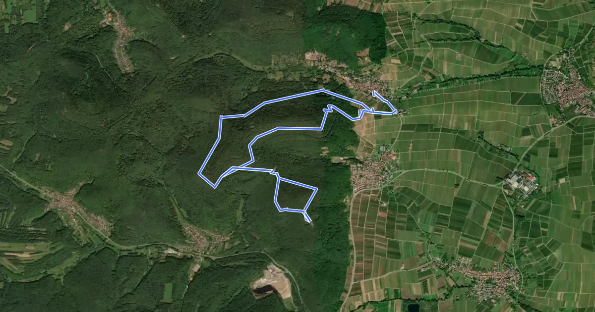 Маршрут Rundwanderweg Leinsweiler 5 на спутниковом снимке