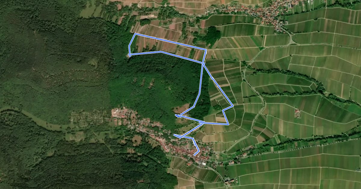 Маршрут Rundwanderweg Leinsweiler 6 на спутниковом снимке