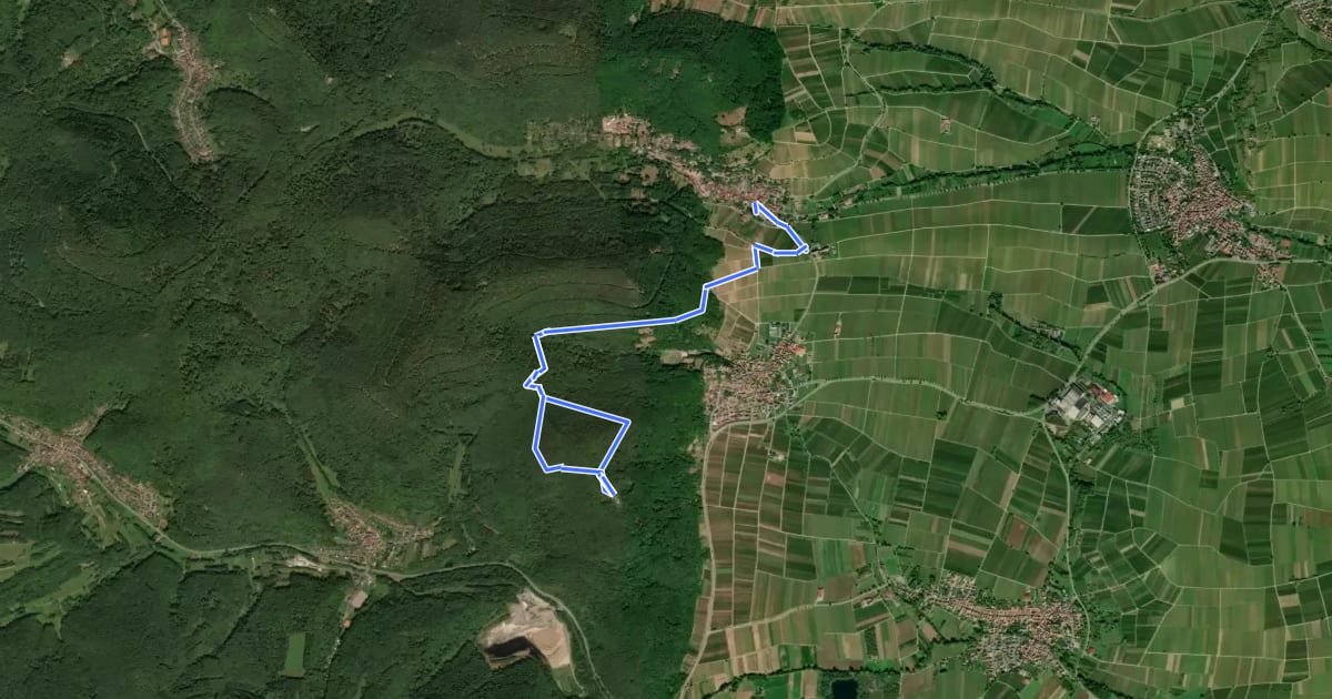 Маршрут Rundwanderweg Leinsweiler 8 на спутниковом снимке