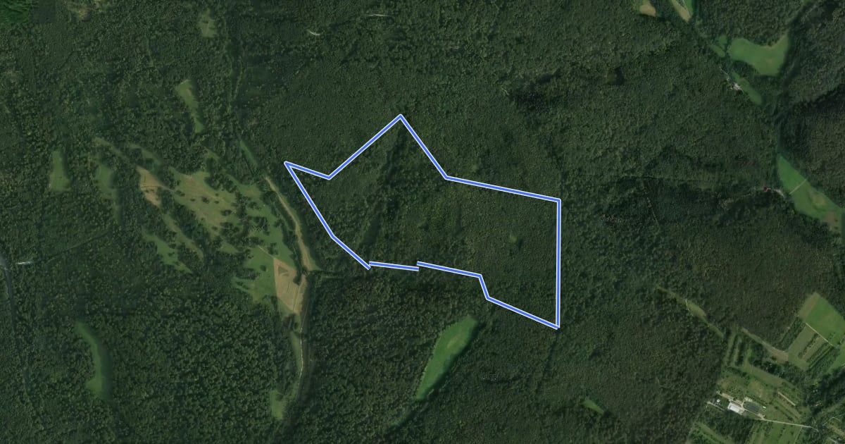 Маршрут Rundwanderweg Lindenblatt на спутниковом снимке