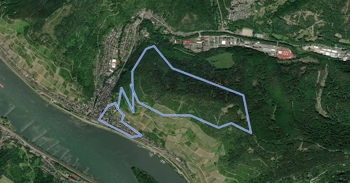 Маршрут Rundwanderweg Lorch 4 на спутниковом снимке