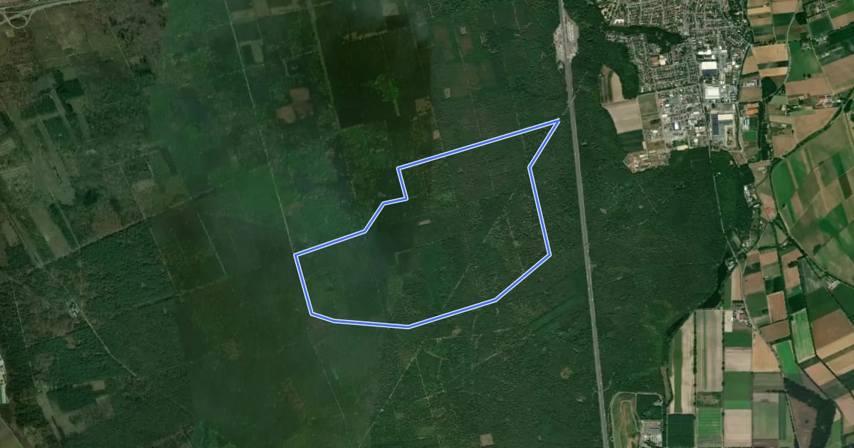 Маршрут Rundwanderweg Lorsch Mannheimer Straße 1: Dr. Bermig-Weg на спутниковом снимке