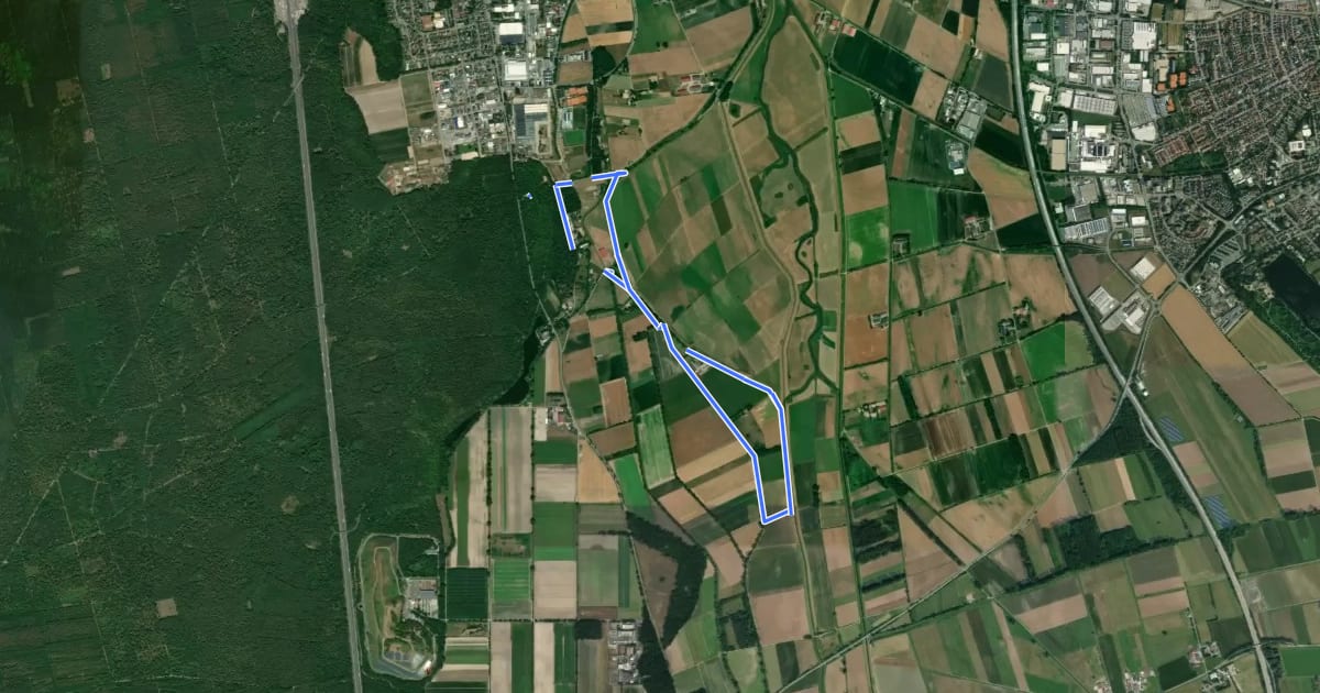 Маршрут Rundwanderweg Lorsch Sachsenbuckel 4: Kloster-Hagen-Weg на спутниковом снимке