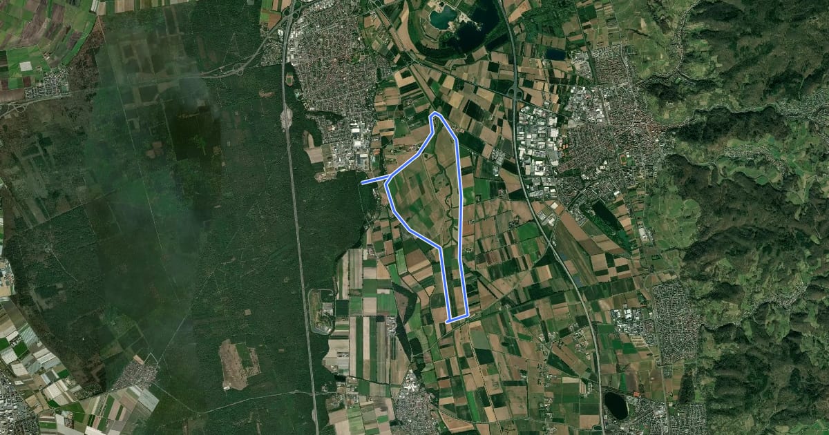 Маршрут Rundwanderweg Lorsch Sachsenbuckel 5: Weschnitzinsel на спутниковом снимке