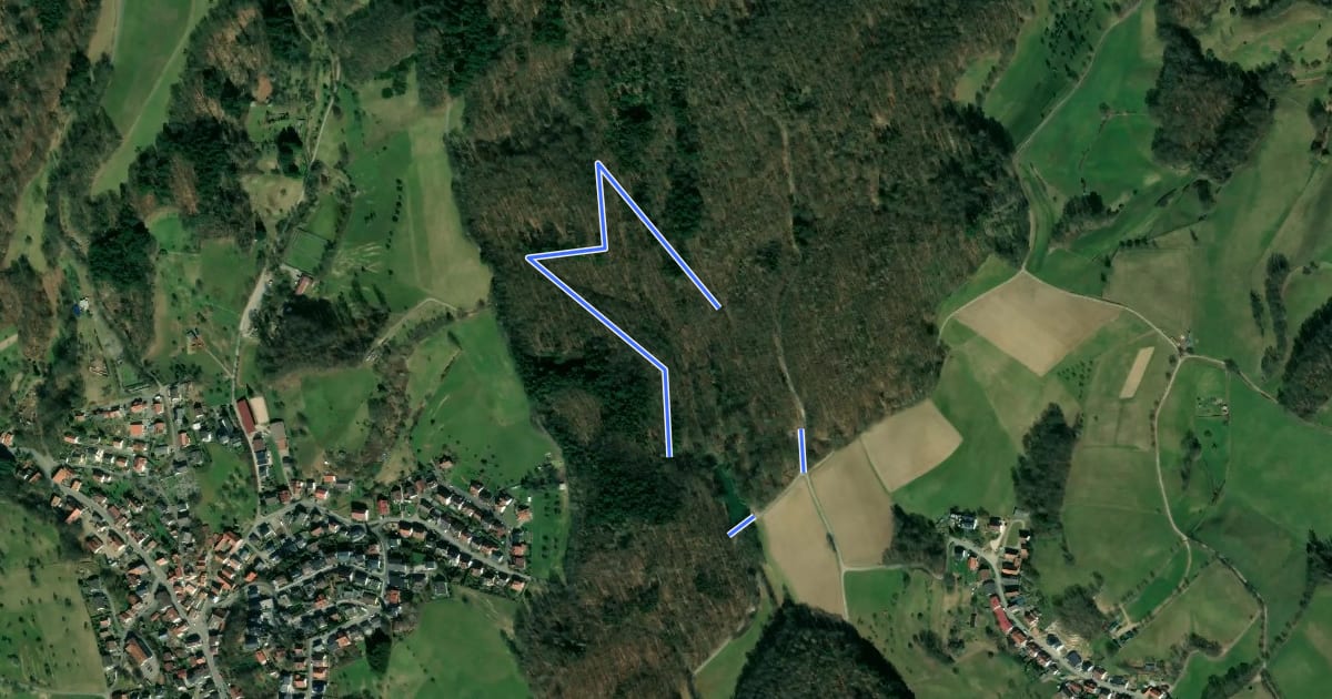 Маршрут Rundwanderweg Mörlenbach Waldsee 1: Waldsee-Rundweg на спутниковом снимке