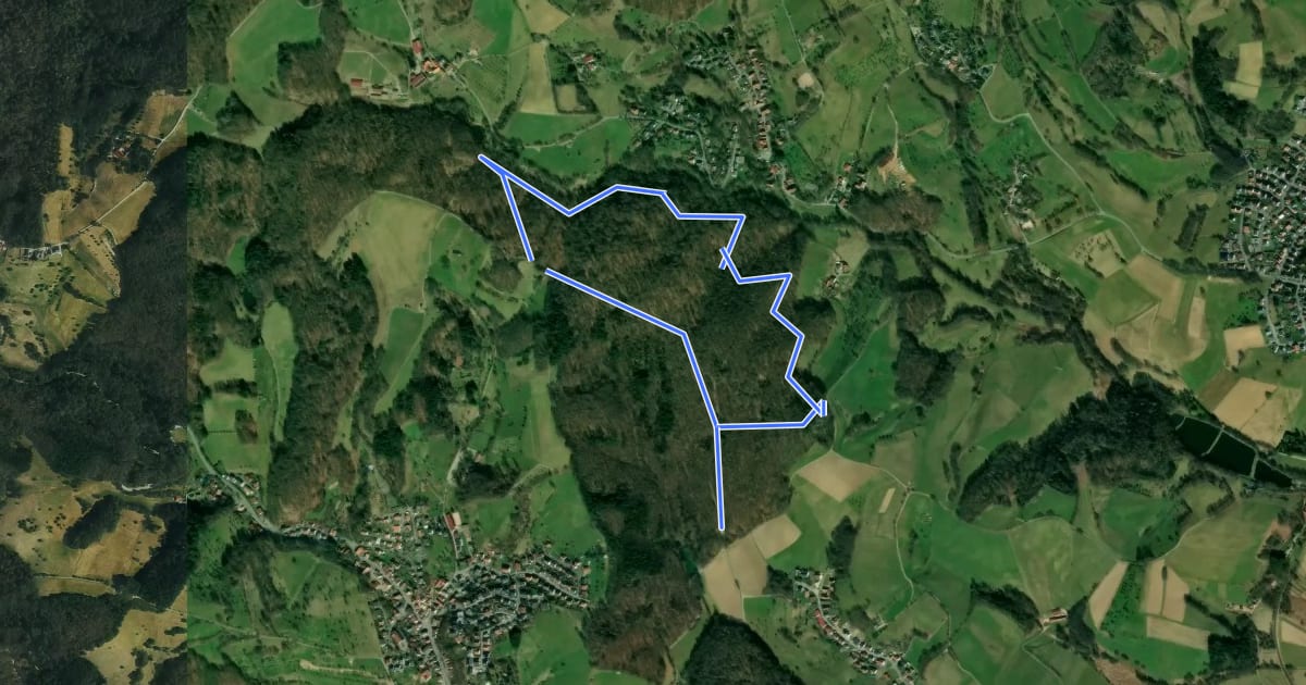 Маршрут Rundwanderweg Mörlenbach Waldsee 4: Taschengruben-Weg на спутниковом снимке