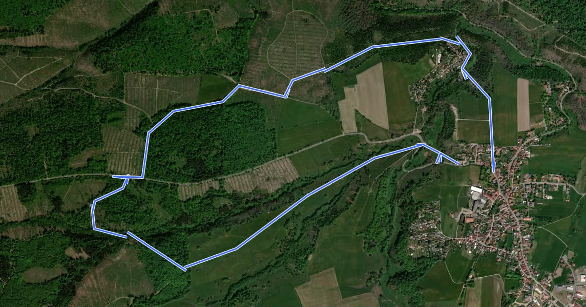 Маршрут Rundwanderweg Mammutbaum на спутниковом снимке