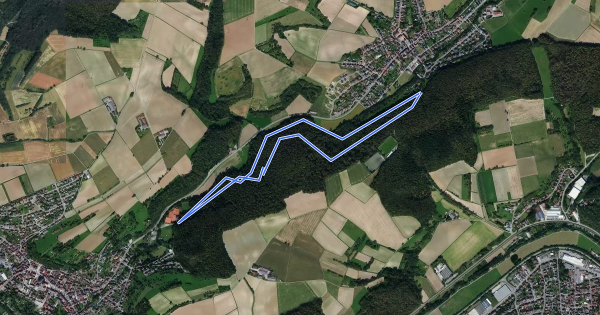 Маршрут Rundwanderweg Meckesheim Buchwald 5: Buchwald-Weg на спутниковом снимке