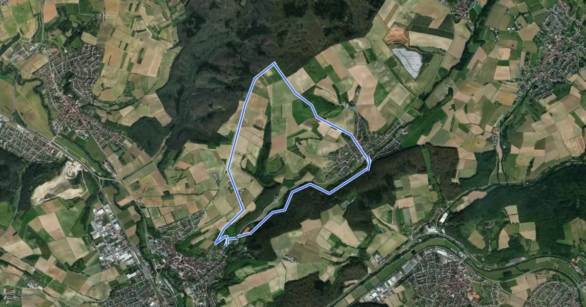 Маршрут Rundwanderweg Meckesheim Buchwald 7: Salzberg-Weg на спутниковом снимке