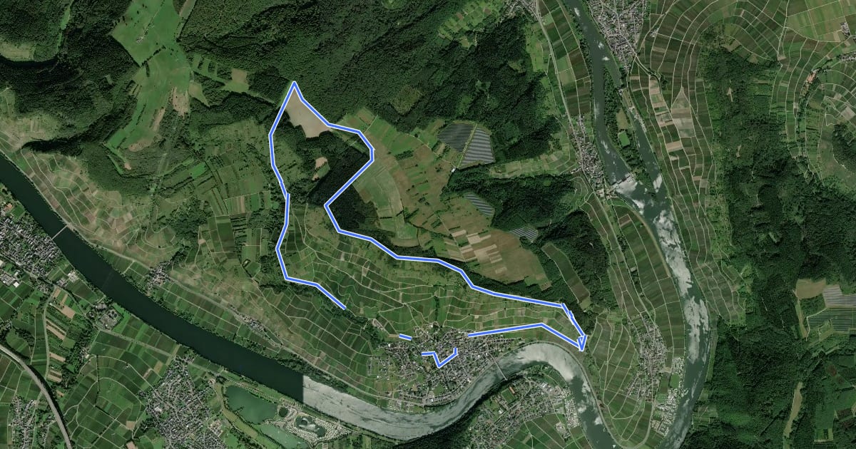 Маршрут Rundwanderweg Mehring Sauerborn - Hundsbuckel- Huxlay на спутниковом снимке