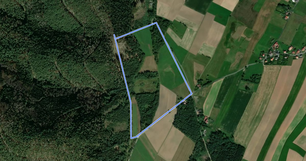 Маршрут Rundwanderweg Michelstadt Adlerschlag 1: Adlerschlagweg на спутниковом снимке