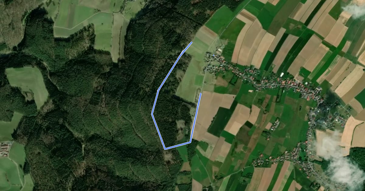 Маршрут Rundwanderweg Michelstadt Adlerschlag 2: Miesweg на спутниковом снимке