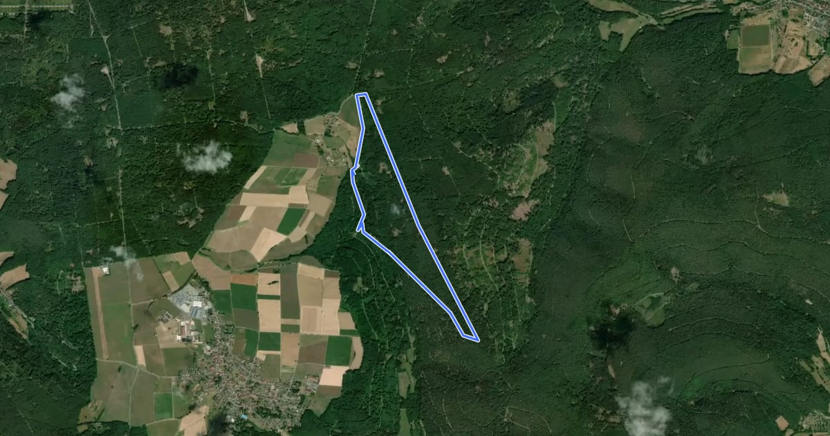Маршрут Rundwanderweg Michelstadt Bremhof 4: Langstein-Weg на спутниковом снимке