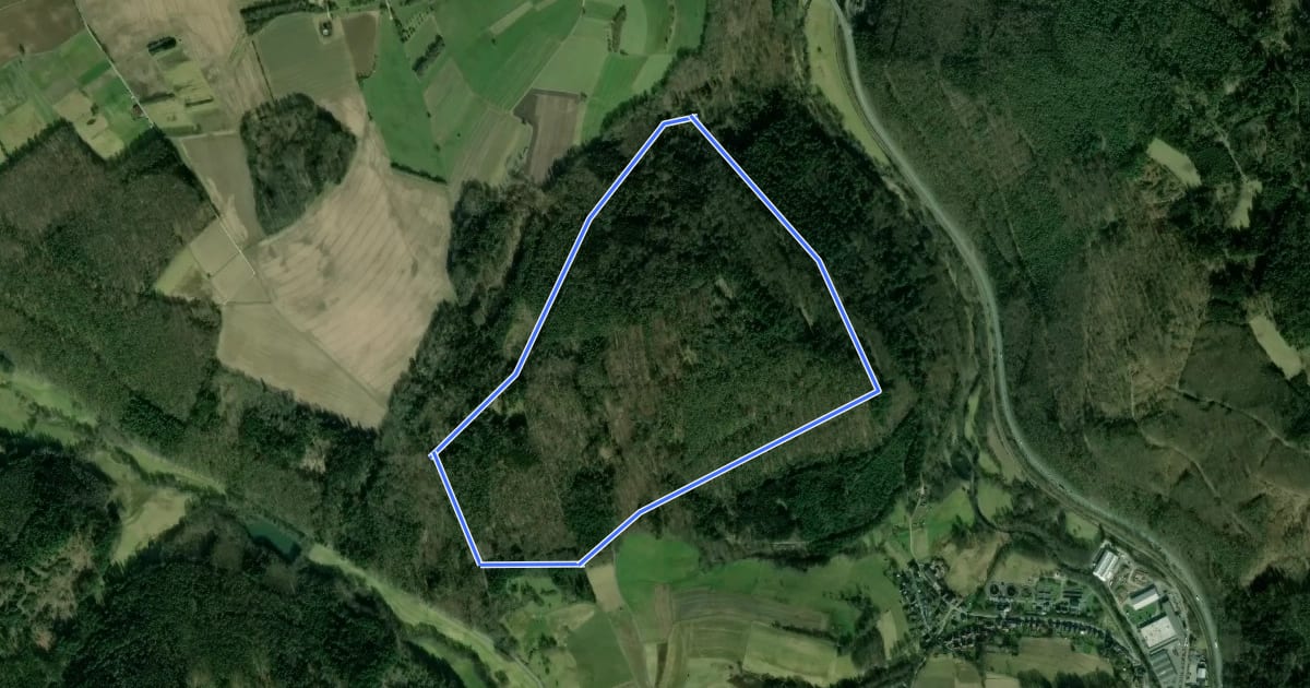 Маршрут Rundwanderweg Michelstadt Einhard Quelle 3 : Steinich-Weg на спутниковом снимке