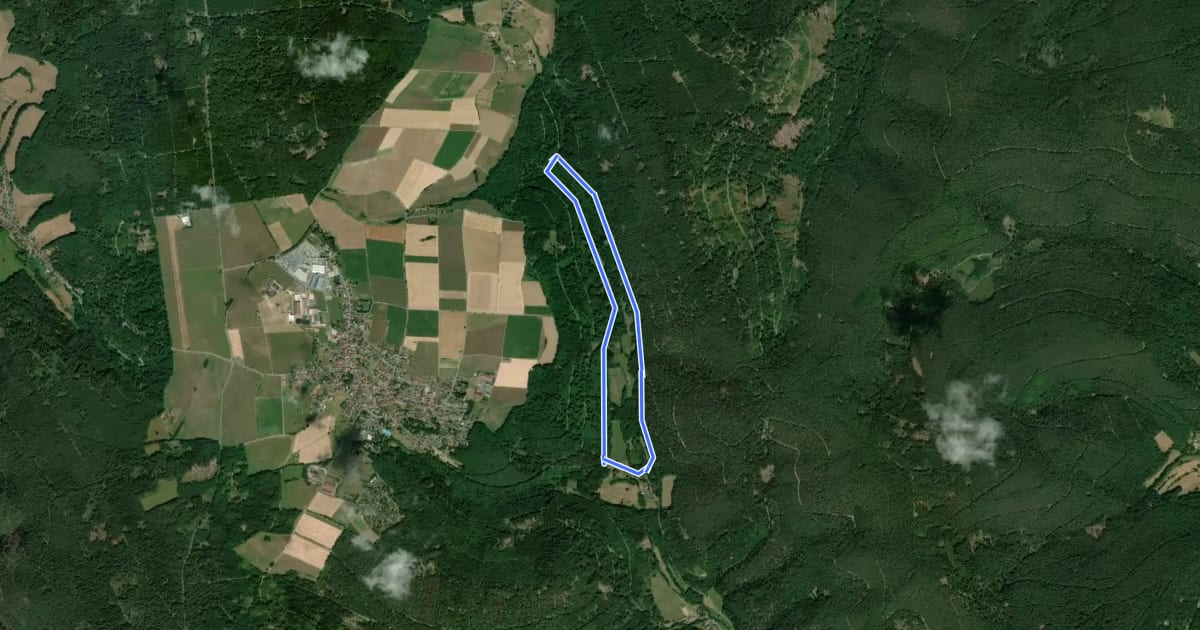 Маршрут Rundwanderweg Michelstadt Geierstal 1: Ohrenbach-Weg на спутниковом снимке