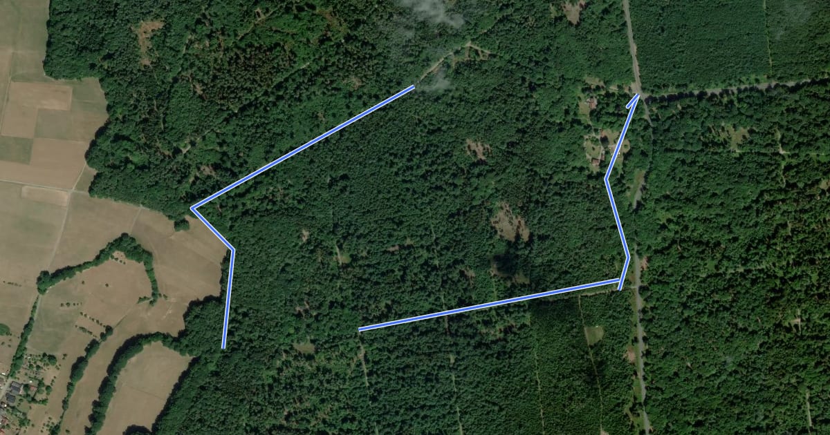 Маршрут Rundwanderweg Michelstadt Kastell Hainhaus 2: Kohlwald-Weg на спутниковом снимке