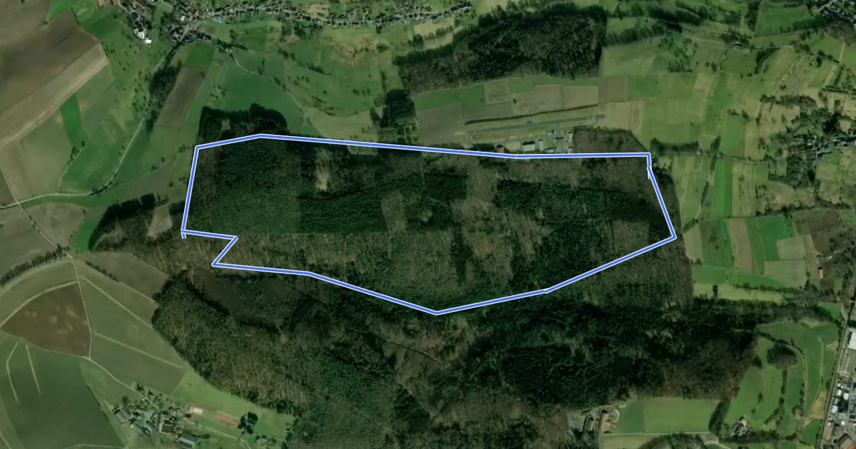 Маршрут Rundwanderweg Michelstadt Waldhorn 3: Silberbrünnchenweg на спутниковом снимке