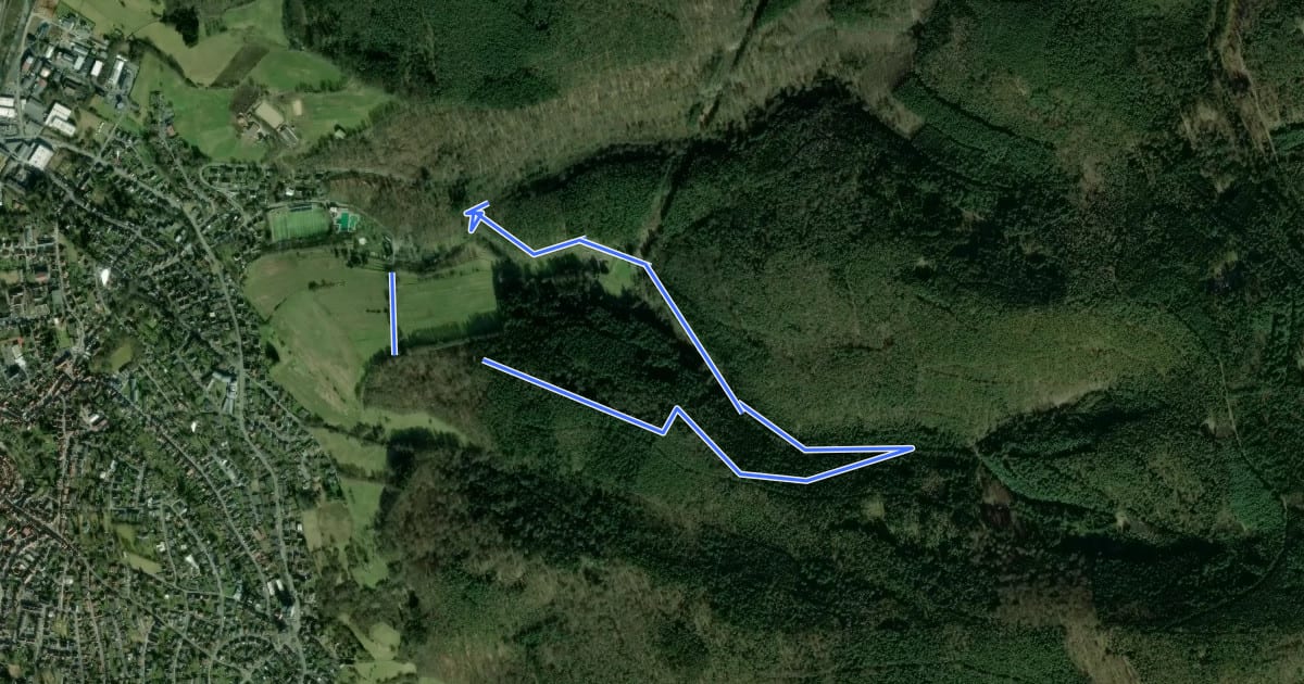 Маршрут Rundwanderweg Michelstadt Waldschwimmbad 2: Schulwaldpfad на спутниковом снимке