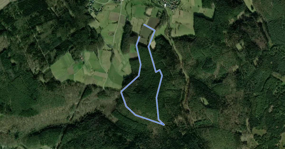 Маршрут Rundwanderweg Michelstadt Weiten-Gesäßer Höhe 2: Dopplersrodweg на спутниковом снимке