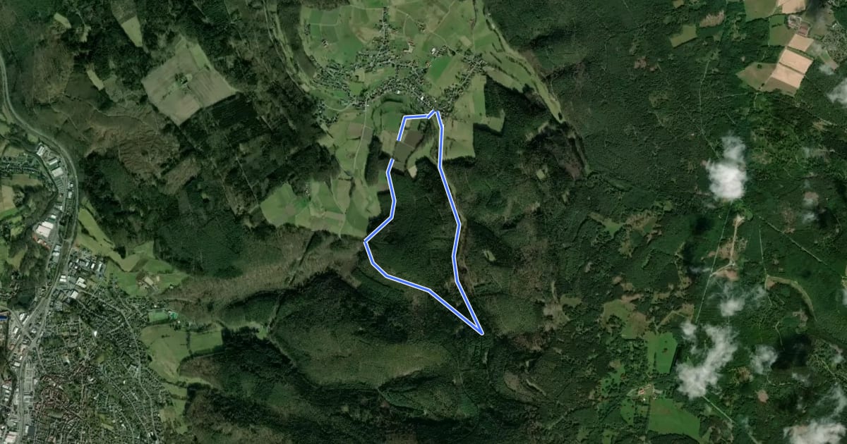 Маршрут Rundwanderweg Michelstadt Weiten-Gesäßer Höhe 3: Mühlgrundweg на спутниковом снимке