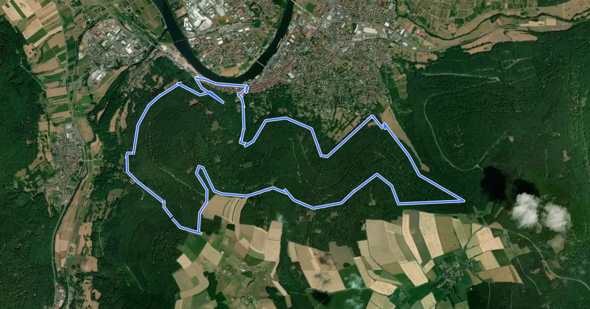 Маршрут Rundwanderweg Miltenberg 1: Römerweg на спутниковом снимке