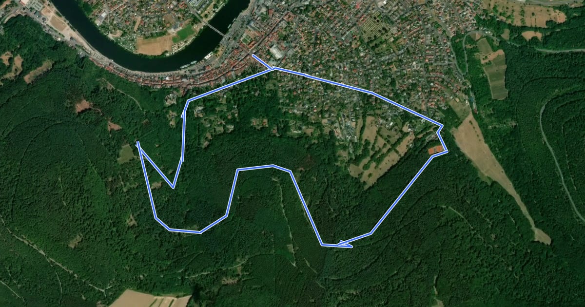 Маршрут Rundwanderweg Miltenberg 2: Ottostein-Weg на спутниковом снимке