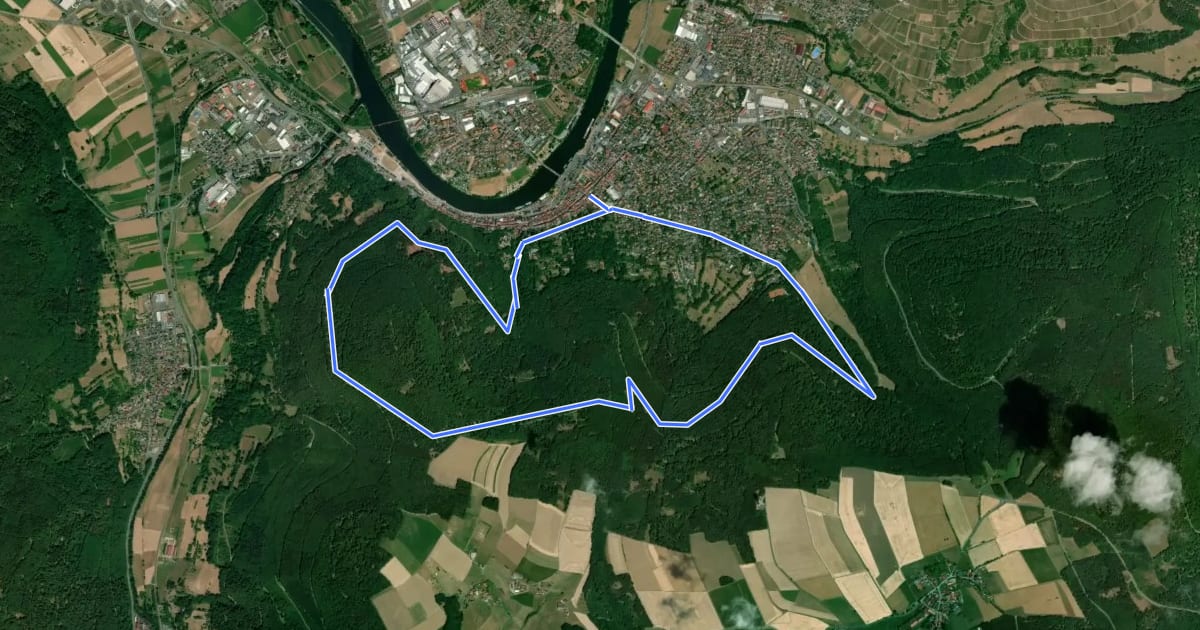 Маршрут Rundwanderweg Miltenberg 3: Grein-Berg-Weg на спутниковом снимке
