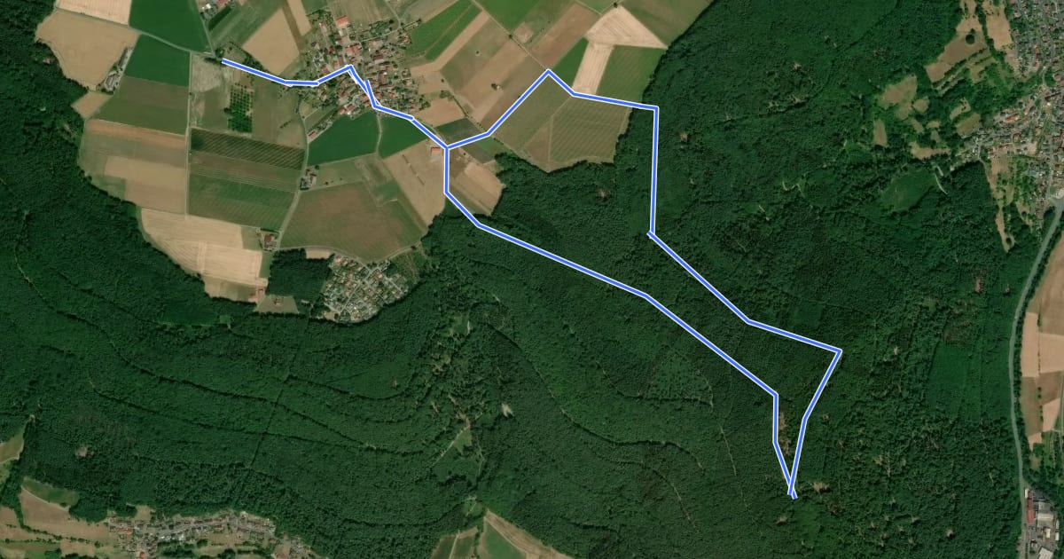Маршрут Rundwanderweg Miltenberg Rund um Mainbullau 8: на спутниковом снимке