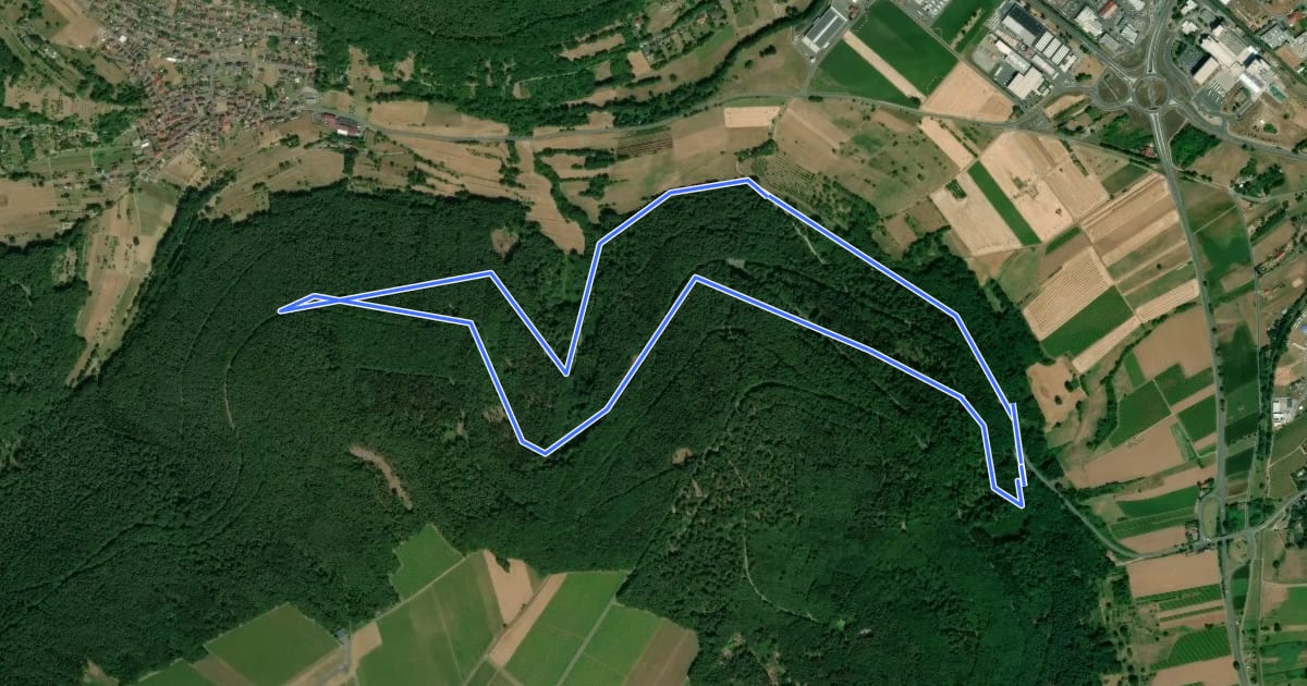 Маршрут Rundwanderweg Miltenberg Springquelle 3: на спутниковом снимке