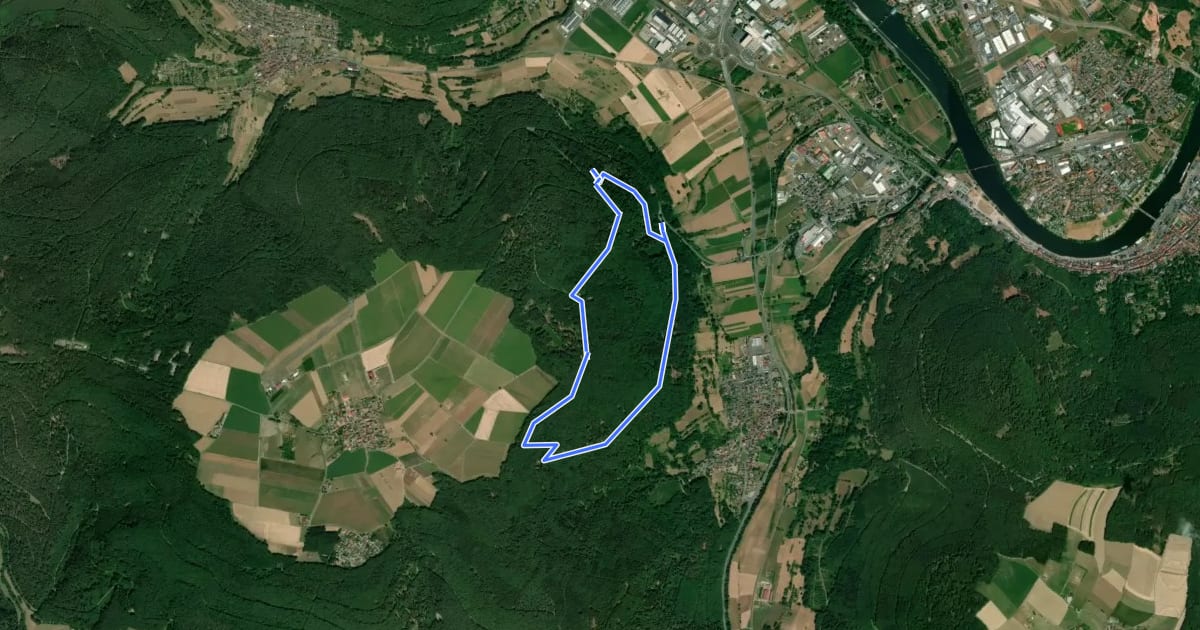 Маршрут Rundwanderweg Miltenberg Springquelle 4: на спутниковом снимке
