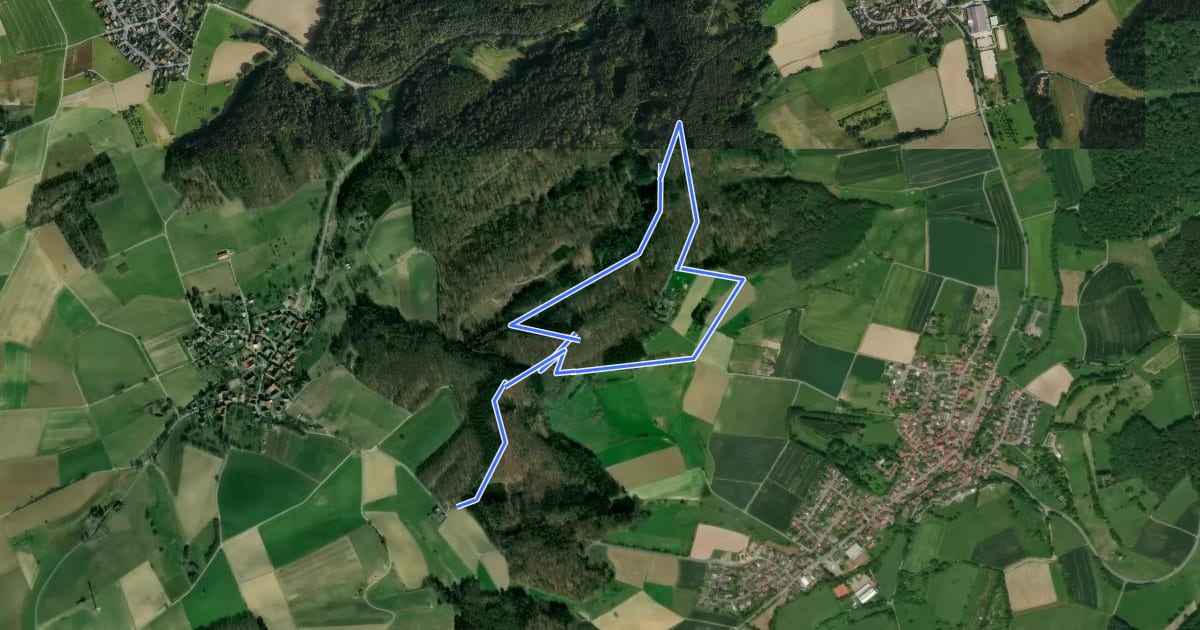 Маршрут Rundwanderweg Modautal Am Kirchwald 2: Kohlwald-Weg на спутниковом снимке