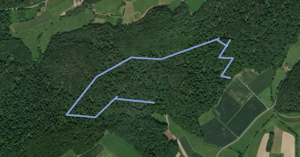Маршрут Rundwanderweg Modautal Schnakenmühle 3: Böbig-Weg на спутниковом снимке
