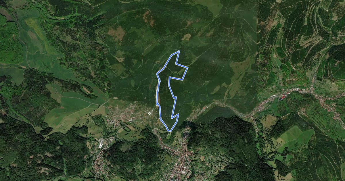 Маршрут Rundwanderweg - Moosbach und Moosbachtal на спутниковом снимке