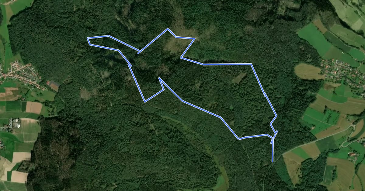 Маршрут Rundwanderweg Mossautal Harrasloch 3: Siegfriedbrunnen-Weg на спутниковом снимке