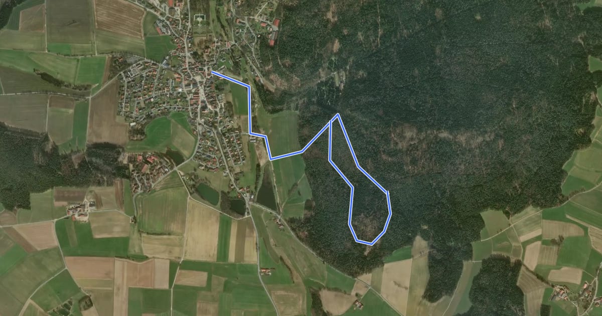 Маршрут Rundwanderweg Muehlberg на спутниковом снимке
