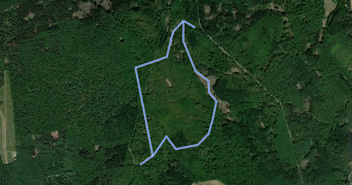 Маршрут Rundwanderweg Muffel на спутниковом снимке
