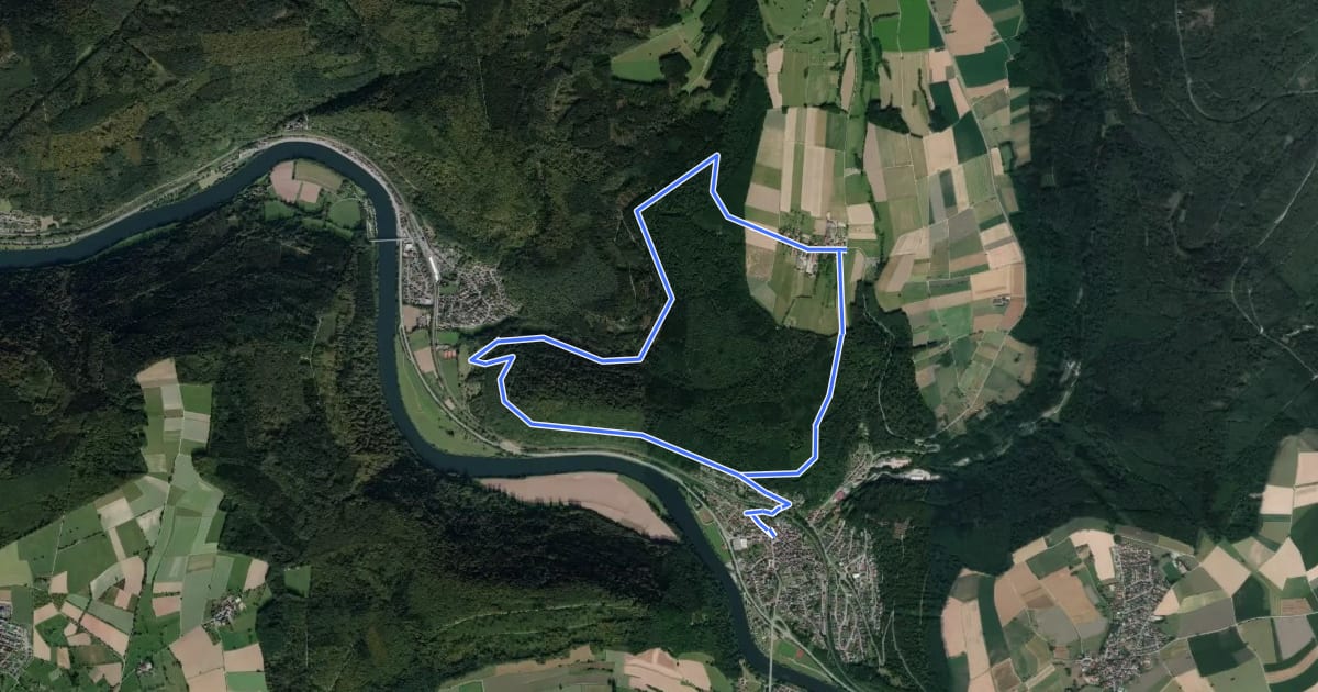 Маршрут Rundwanderweg Neckargerach 1: Hohwald-Weg на спутниковом снимке