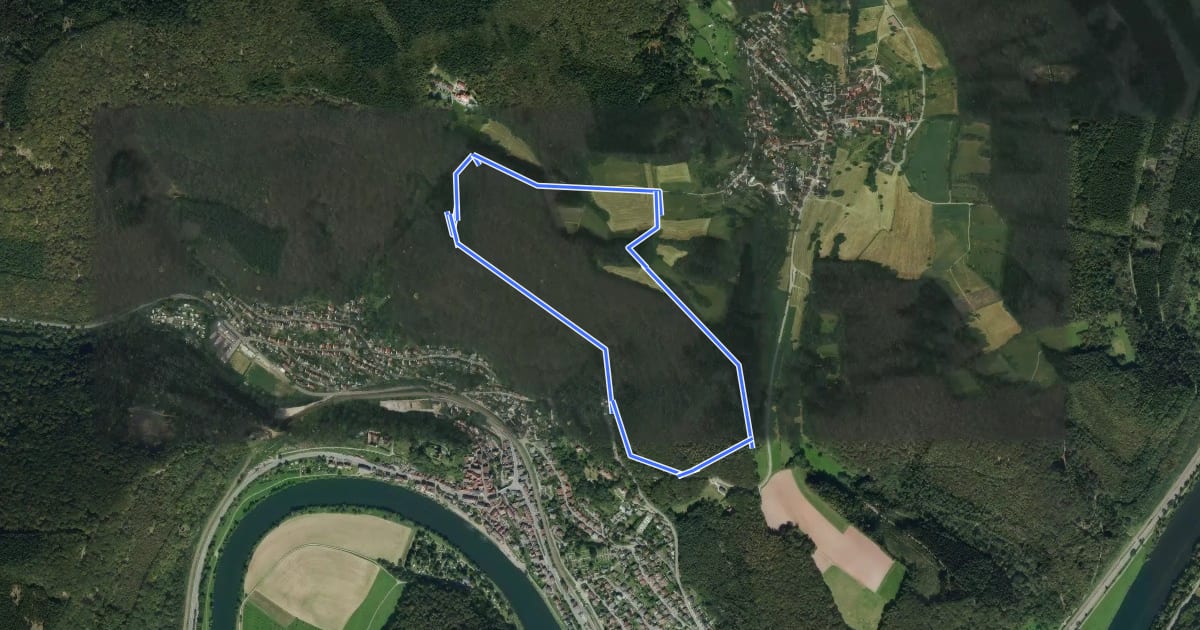 Маршрут Rundwanderweg Neckarsteinach Kaisereiche 11: Mannheimer-Hütten-Weg на спутниковом снимке