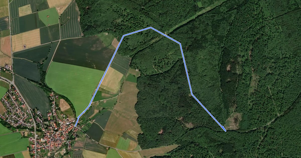 Маршрут Rundwanderweg Netze 3 на спутниковом снимке