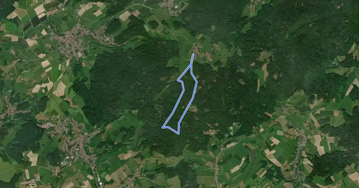 Маршрут Rundwanderweg Neunkirchen 2 на спутниковом снимке