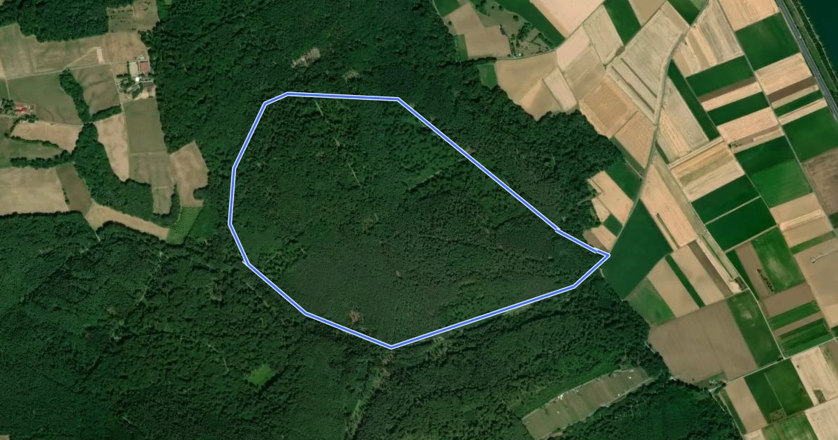 Маршрут Rundwanderweg Niederberg Nasenberg 2: Nasenberg-Weg на спутниковом снимке
