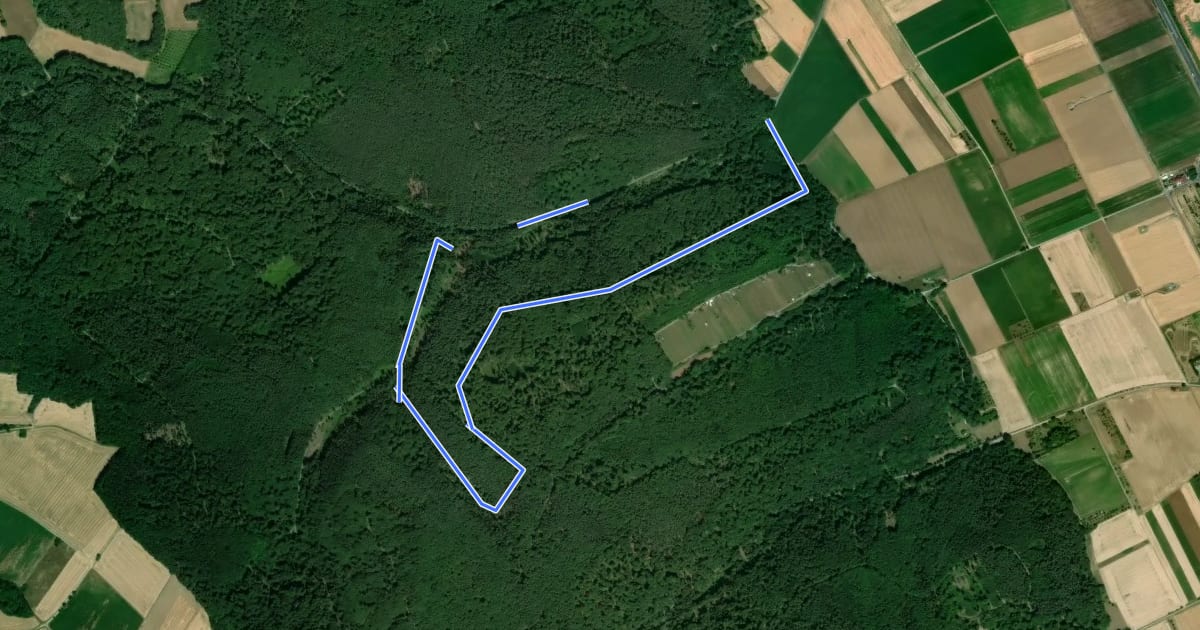 Маршрут Rundwanderweg Niederberg Nasenberg 3: Ischelsberg-Weg на спутниковом снимке