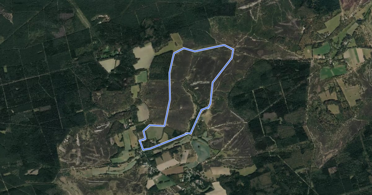 Маршрут Rundwanderweg Niederhaverbeck N2 на спутниковом снимке