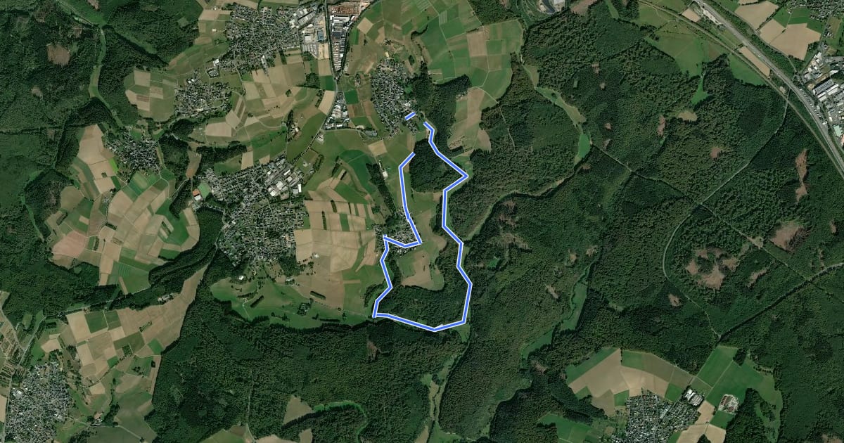 Маршрут Rundwanderweg Niederraden 1 на спутниковом снимке
