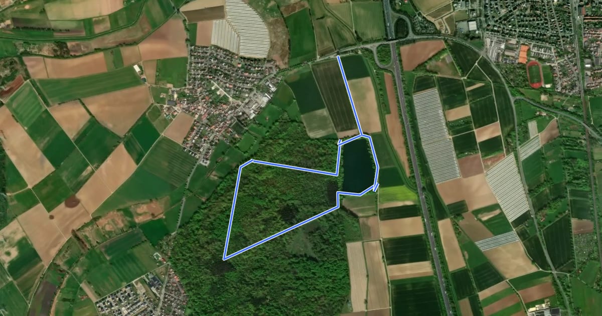 Маршрут Rundwanderweg Niederwaldsee 2: Nachtweid-Weg на спутниковом снимке