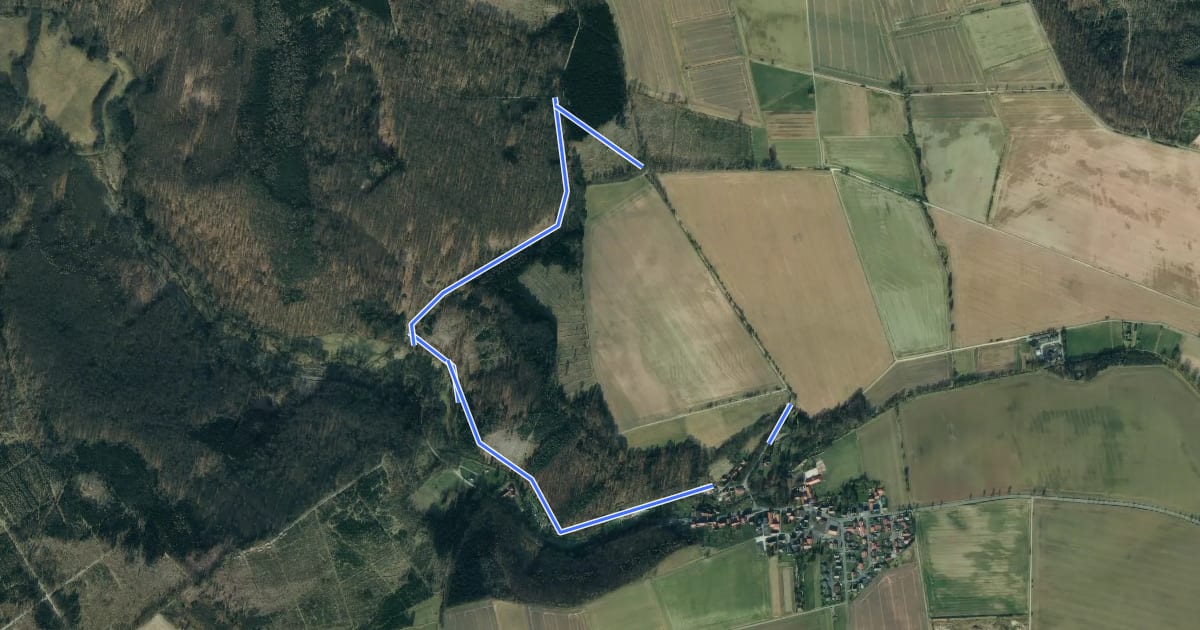 Маршрут Rundwanderweg Niemetal 3 на спутниковом снимке