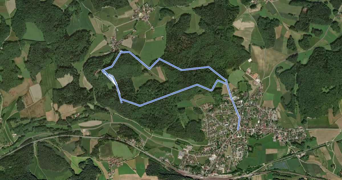 Маршрут Rundwanderweg No.1 Neukirchen на спутниковом снимке