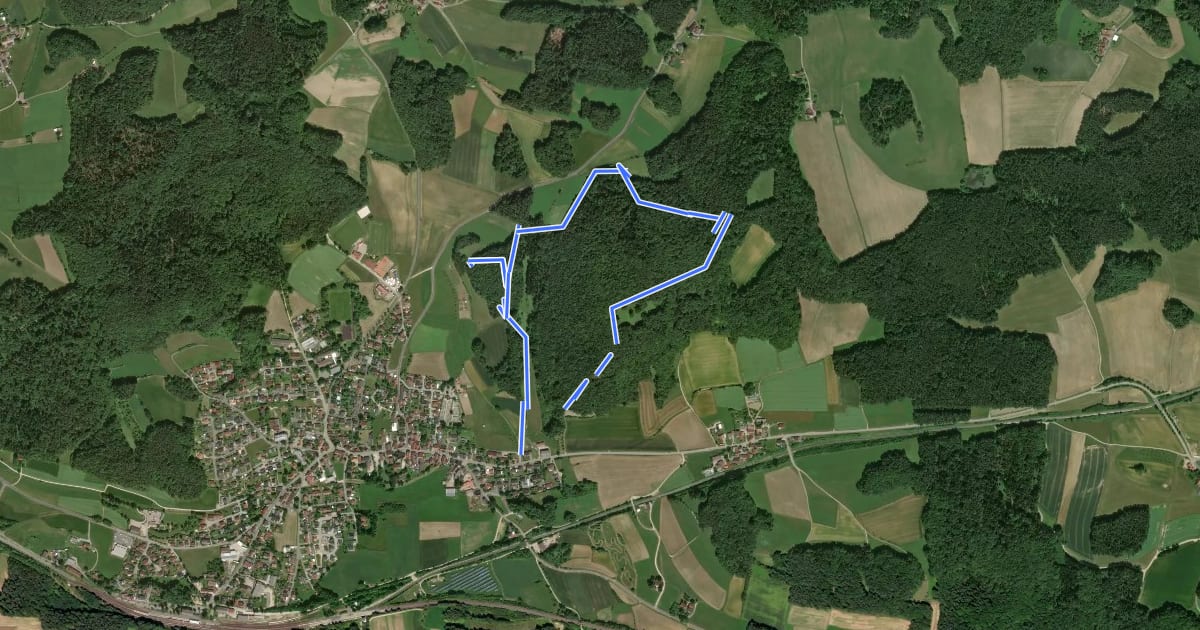 Маршрут Rundwanderweg No.2 Neukirchen на спутниковом снимке
