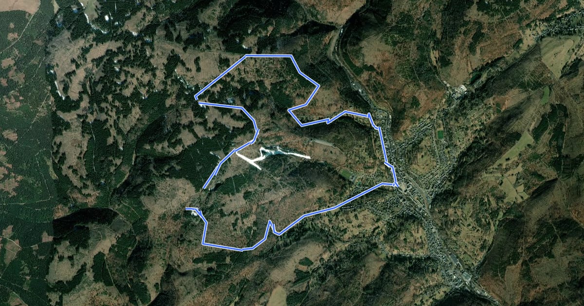 Маршрут Rundwanderweg Nr. 1 um Steinach / Thüringen на спутниковом снимке