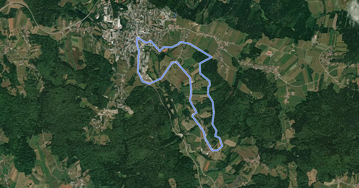 Маршрут Rundwanderweg Nr. 10: Bergholz - Langholz на спутниковом снимке